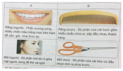 Tiếng Việt 5 VNEN Bài 6C: Sông, suối, biển, hồ | Soạn Tiếng Việt lớp 5 VNEN hay nhất