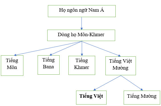 Soạn văn lớp 10 | Soạn bài lớp 10