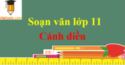 Soạn văn 11 Cánh diều ngắn nhất | Soạn văn 11 Tập 1, Tập 2 ngắn nhất | Ngữ văn 11 Cánh diều