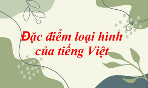 Soạn bài Đặc điểm loại hình của tiếng Việt | Ngắn nhất Soạn văn 11