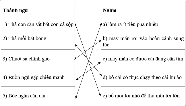 trang 78 - 79 Thực hành tiếng Việt