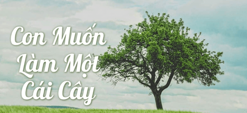 Soạn bài Con muốn làm một cái cây | Ngắn nhất Soạn văn 6 Chân trời sáng tạo