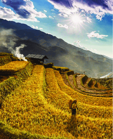 Soạn bài Và tôi nhớ khói | Ngắn nhất Soạn văn 6 Chân trời sáng tạo