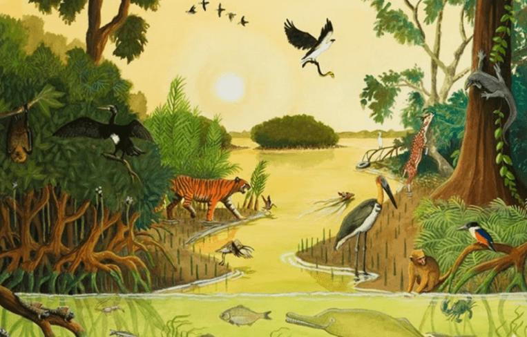 Soạn bài Các loài chung sống với nhau như thế nào | Ngắn nhất Soạn văn 6 Kết nối tri thức