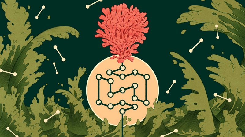 Soạn bài Sinh vật trên Trái Đất được hình thành như thế nào | Ngắn nhất Soạn văn 6 Kết nối tri thức