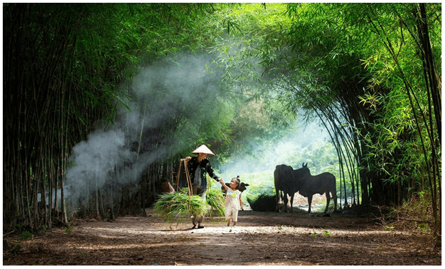 Soạn bài Trưa tha hương | Ngắn nhất Soạn văn 7 Cánh diều