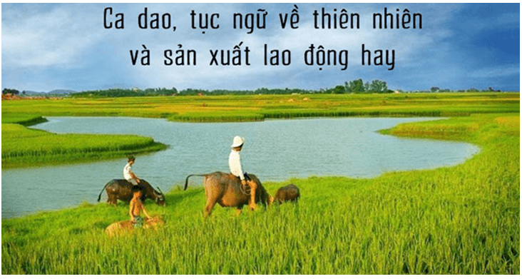 Soạn bài Tục ngữ về thiên nhiên, lao động và con người, xã hội | Ngắn nhất Soạn văn 7 Cánh diều