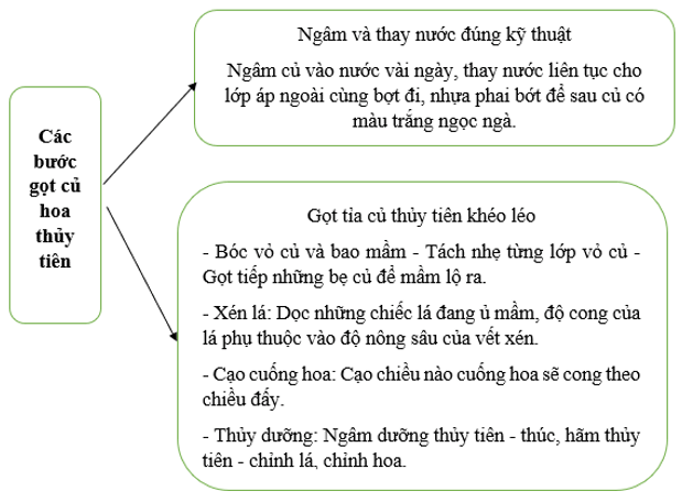 Soạn bài Cách gọt củ hoa thuỷ tiên | Ngắn nhất Soạn văn 7 Chân trời sáng tạo