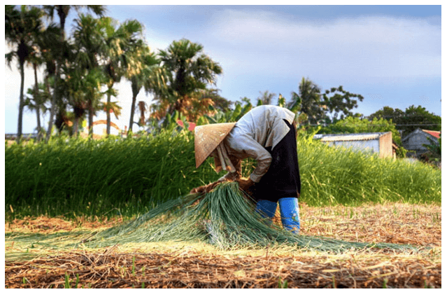 Soạn bài Mẹ | Ngắn nhất Soạn văn 7 Chân trời sáng tạo