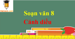 Soạn văn 8 Cánh diều ngắn nhất | Soạn văn 8 Tập 1, Tập 2 ngắn nhất | Ngữ văn 8 Cánh diều