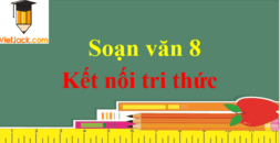 Soạn văn 8 Kết nối tri thức ngắn nhất | Soạn văn 8 Tập 1, Tập 2 ngắn nhất | Ngữ văn 8 Kết nối tri thức