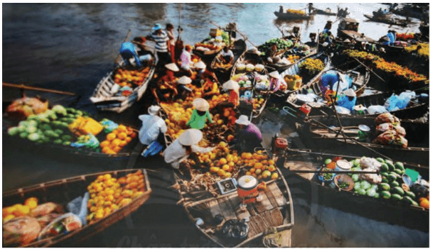 Soạn bài Chợ nổi – Nét văn hóa sông nước miền Tây | Hay nhất Soạn văn 10 Chân trời sáng tạo