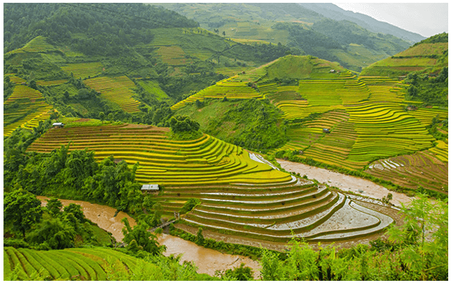 Top 15 Tóm tắt Đất nước (hay, ngắn nhất) | Ngữ văn lớp 10 Chân trời sáng tạo