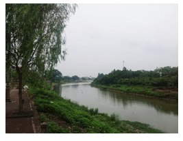 Sông Đáy - Tác giả tác phẩm (mới 2025) | Ngữ văn lớp 11 Cánh diều