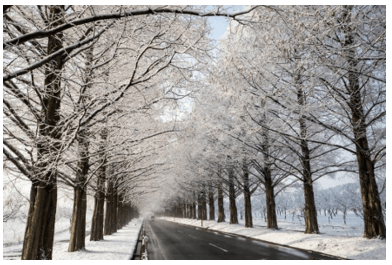 Con đường mùa đông - Tác giả tác phẩm (mới 2023) | Ngữ văn lớp 11 Kết nối tri thức