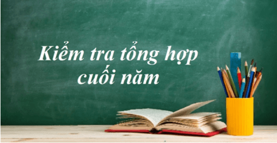 Soạn bài Kiểm tra tổng hợp cuối năm | Soạn văn 11 hay nhất