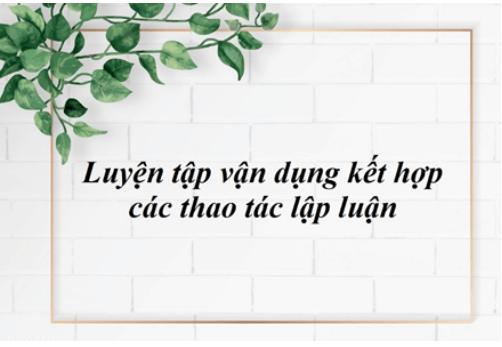 Soạn bài Luyện tập vận dụng kết hợp các thao tác lập luận | Soạn văn 11 hay nhất