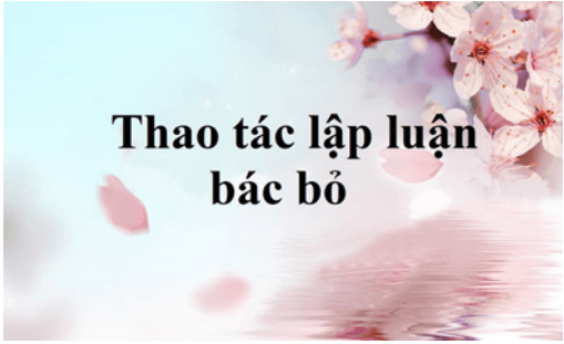 Soạn bài Thao tác lập luận bác bỏ | Soạn văn 11 hay nhất