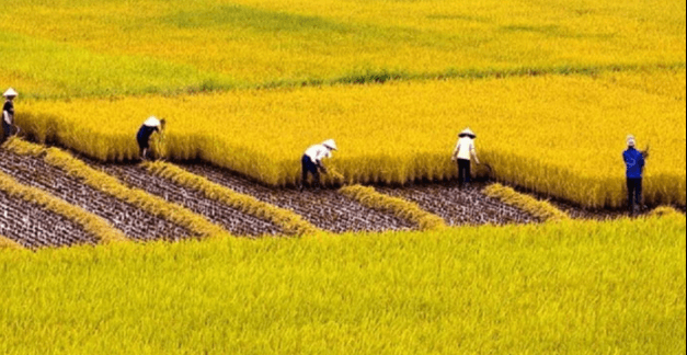 Tóm tắt Việt Nam quê hương ta hay, ngắn nhất | Ngữ văn lớp 6 Chân trời sáng tạo