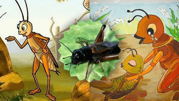 Soạn bài Bài học đường đời đầu tiên (trang 12-19) | Hay nhất Soạn văn 6 Kết nối tri thức