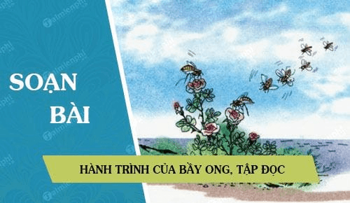 Top 30 tóm tắt Hành trình của bầy ong (hay, ngắn nhất) | Ngữ văn lớp 6 Kết nối tri thức