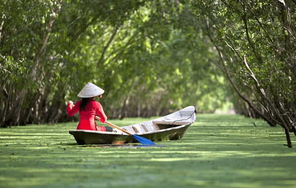 Soạn bài Ghe xuồng Nam Bộ | Hay nhất Soạn văn 7 Cánh diều