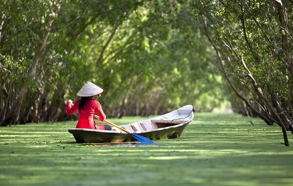 Ghe xuồng Nam Bộ | Ngữ văn lớp 7 Cánh diều