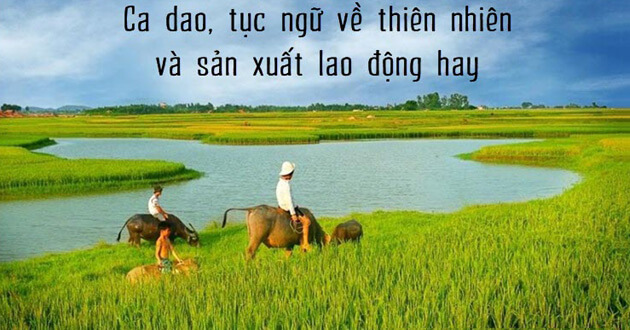 Top 15 tóm tắt Tục ngữ về thiên nhiên, lao động và con người, xã hội (hay, ngắn nhất) | Ngữ văn lớp 7 Cánh diều