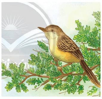 Con chim chiền chiện - Tác giả tác phẩm (mới 2022) | Ngữ văn lớp 7 Chân trời sáng tạo