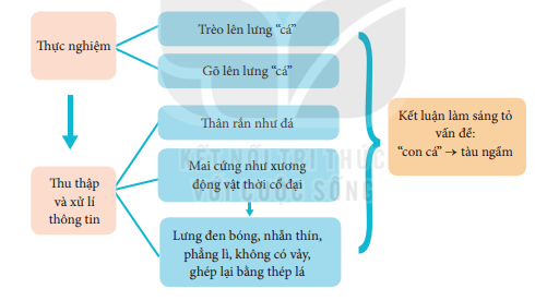 Soạn bài Cuộc chạm trán trên đại dương | Hay nhất Soạn văn 7 Kết nối tri thức