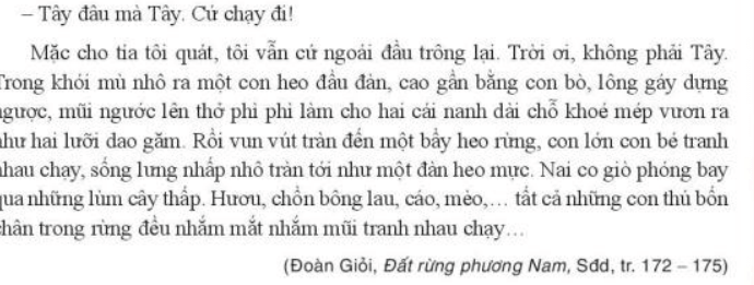 Soạn bài Phiếu học tập số 1 (Ôn tập Học kì 1) | Hay nhất Soạn văn 7 Kết nối tri thức