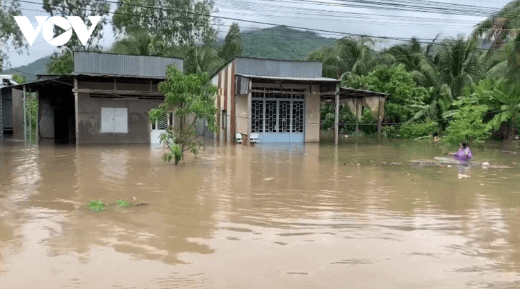 Miền châu thổ Sông Cửu Long cần chuyển đổi từ sống chung sang chào đón lũ – sự thành thực của một tâm hồn giàu mơ mộng - Tác giả tác phẩm (mới 2023) | Ngữ văn lớp 8 Kết nối tri thức