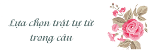 Soạn bài Lựa chọn trật tự từ trong câu | Soạn văn 8 hay nhất