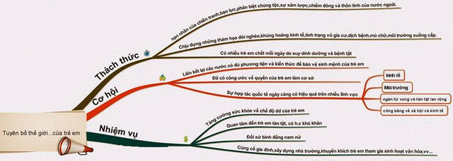 Tuyên bố thế giới về sự sống còn, quyền được bảo vệ và phát triển của trẻ em