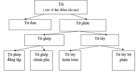 Soạn văn lớp 9 | Soạn bài lớp 9