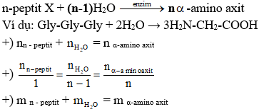 Công thức thủy phân peptit hay nhất