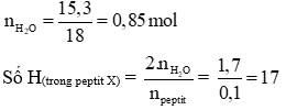 Công thức đốt cháy peptit hay nhất