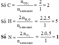 Công thức bài toán đốt cháy amino axit hay nhất