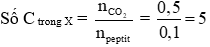 Công thức đốt cháy peptit hay nhất