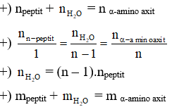 Công thức tính số mol OH- trong bài toán thủy phân peptit hay nhất