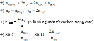 Công thức bài toán đốt cháy este hay nhất