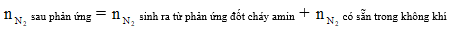 Công thức giải bài toán đốt cháy amin hay nhất