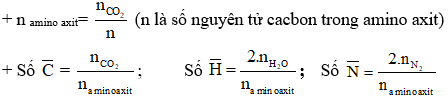 Công thức bài toán đốt cháy amino axit hay nhất