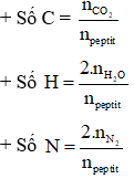 Công thức đốt cháy peptit hay nhất