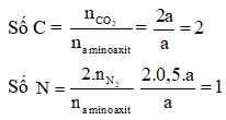 Công thức bài toán đốt cháy amino axit hay nhất