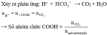 Công thức bài toán đốt cháy axit cacboxylic hay nhất
