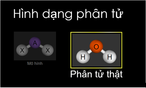 Phần mềm PhET | Hướng dẫn cách cài đặt và sử dụng phần mềm PhET