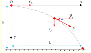 Chuyển động thành phần theo trục Oy của vật ném ngang