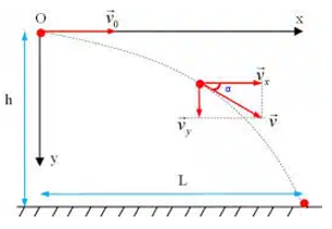Phương trình quỹ đạo của chất điểm