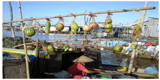 Đọc hiểu Chợ nổi - nét văn hóa sông nước miền Tây (chi tiết nhất)